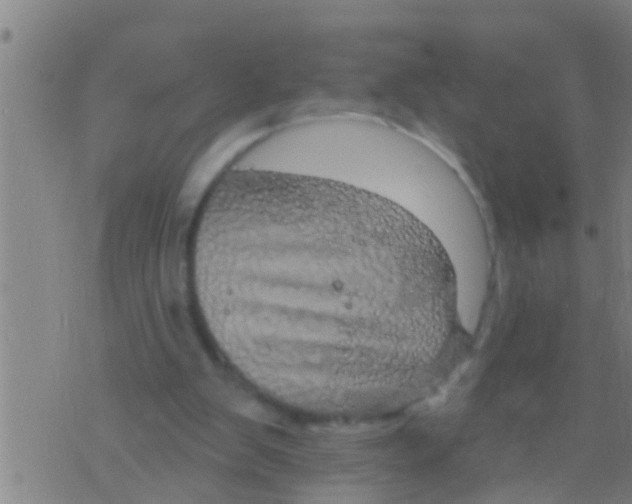 X0000075900103200610151826