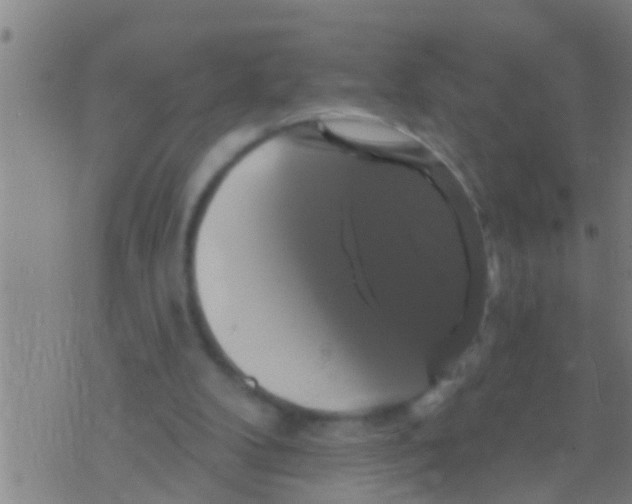 X0000075900104200610151826