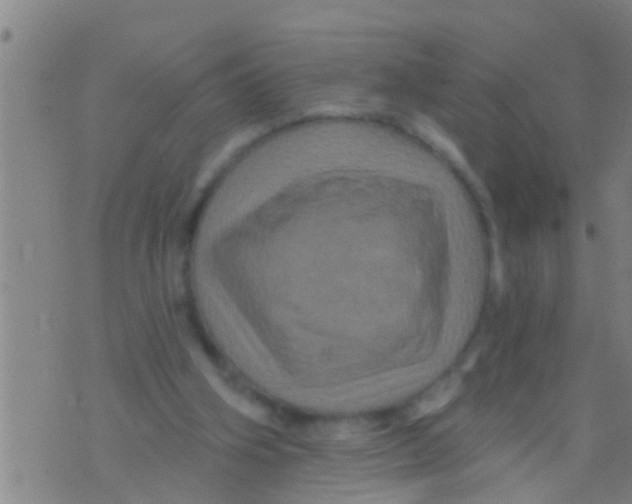 X0000075900106200610151826