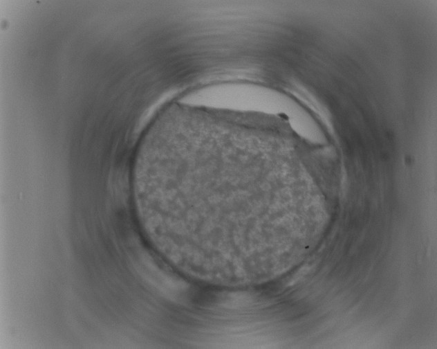 X0000075900107200610151826