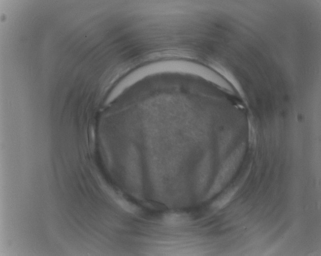 X0000075900109200610151826