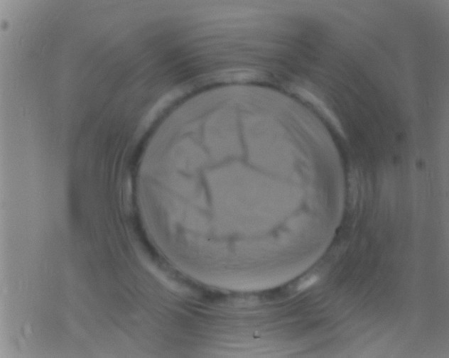 X0000075900110200610151826