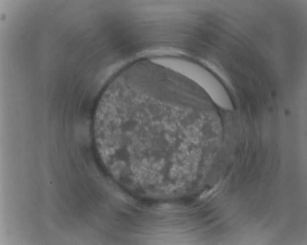 X0000075900111200610151826