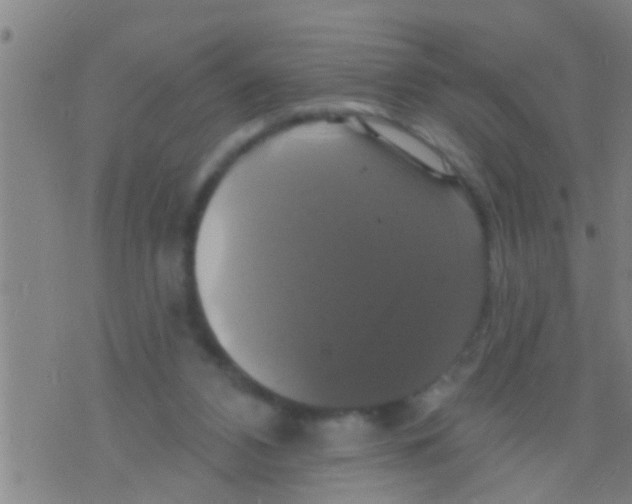 X0000075900112200610151826