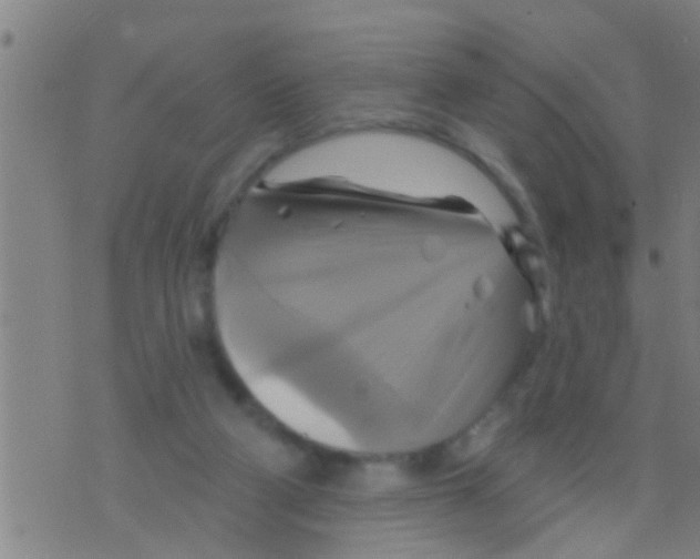 X0000075900114200610151826