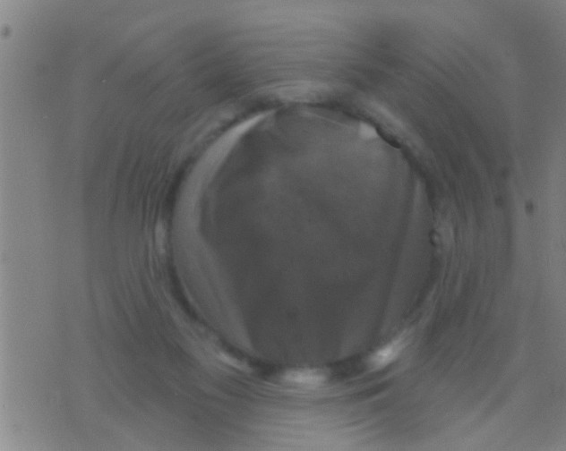 X0000075900117200610151826