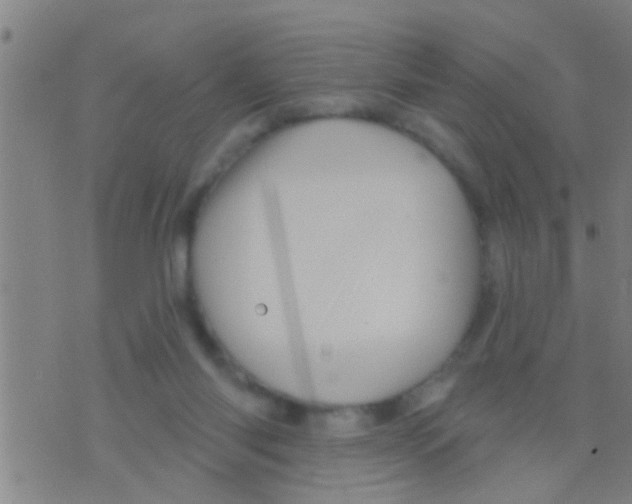 X0000075900118200610151826