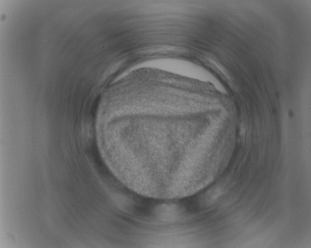 X0000075900119200610151826