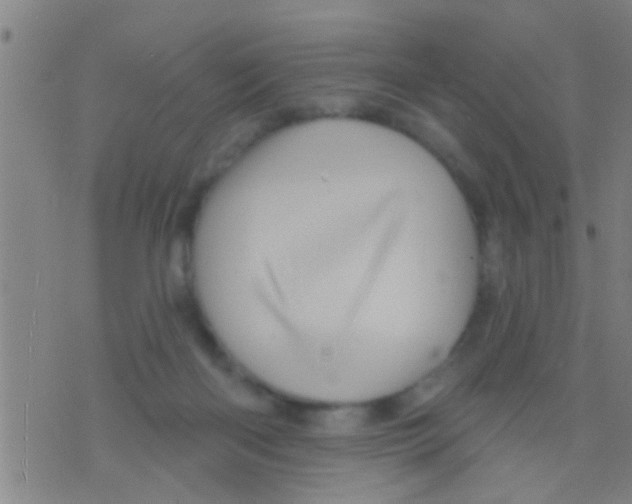 X0000075900122200610151826