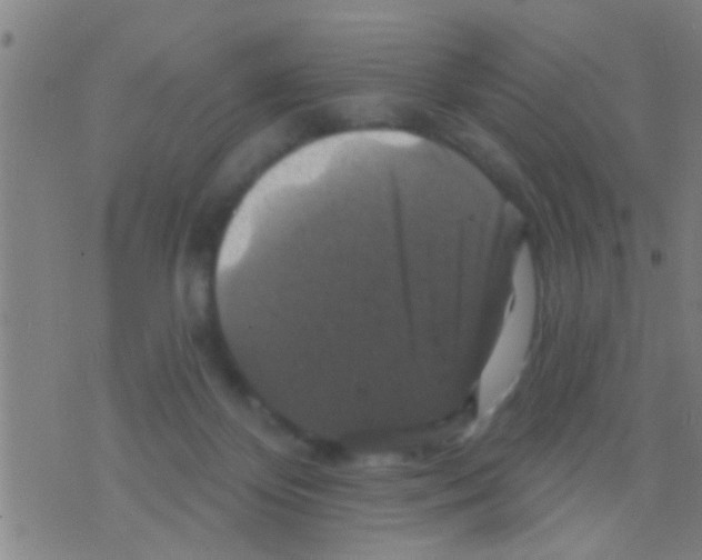 X0000075900124200610151826