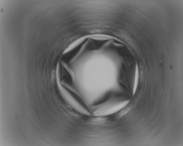 X0000075900125200610151826