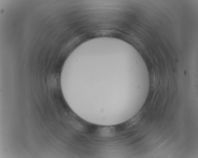 X0000075900126200610151826