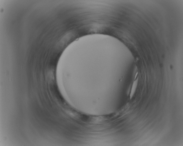 X0000075900127200610151826