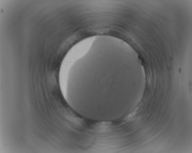 X0000075900128200610151826