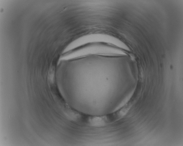 X0000075900129200610151826