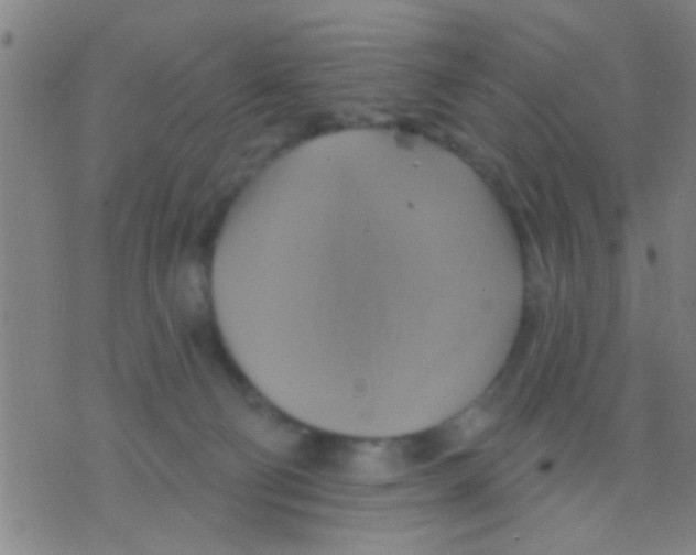 X0000075900130200610151826