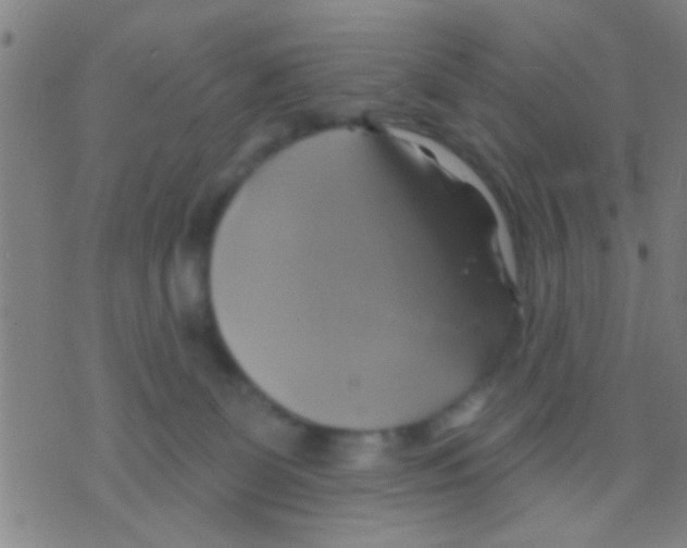 X0000075900131200610151826