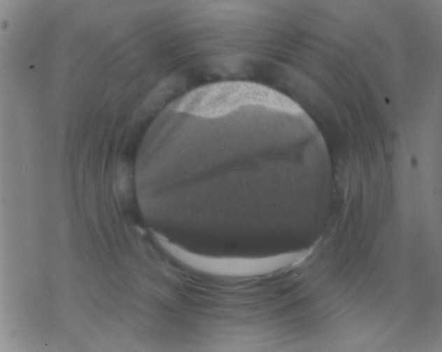 X0000075900132200610151826