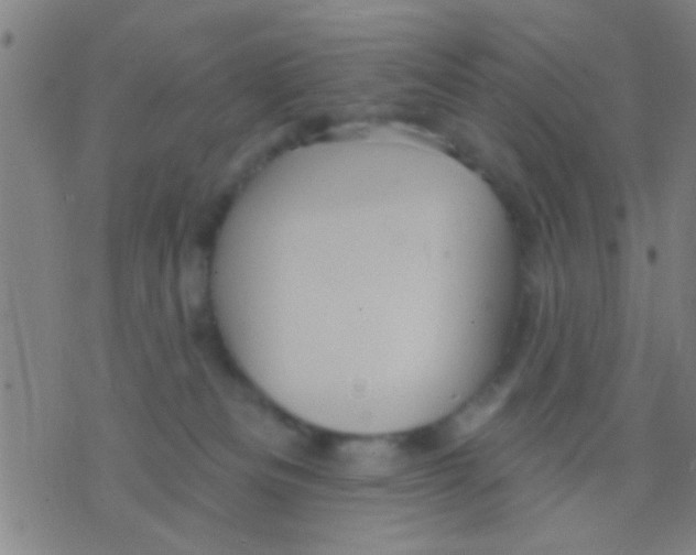 X0000075900133200610151826