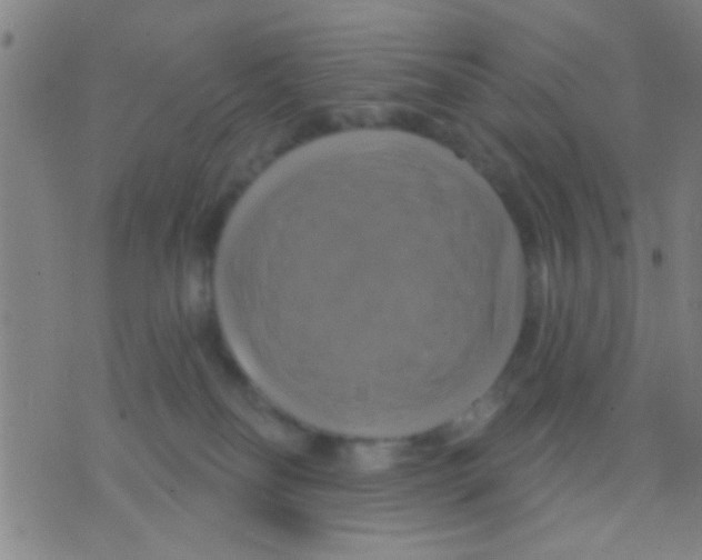 X0000075900134200610151826