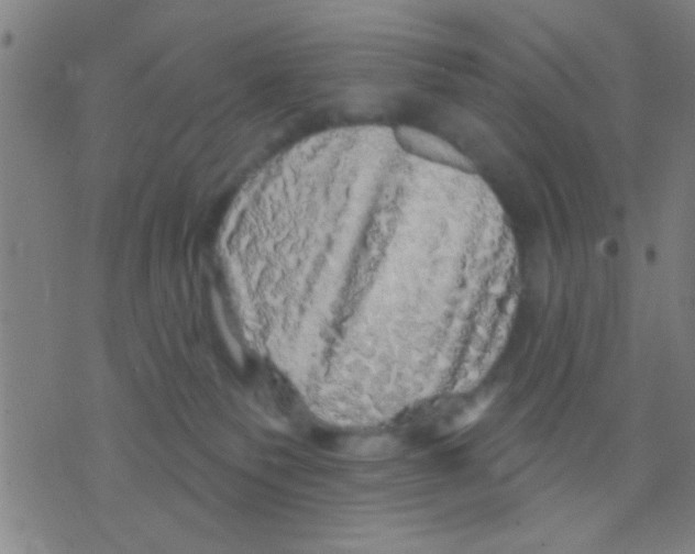 X0000075900135200610151825