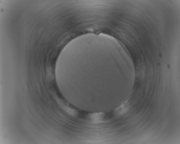 X0000075900136200610151825