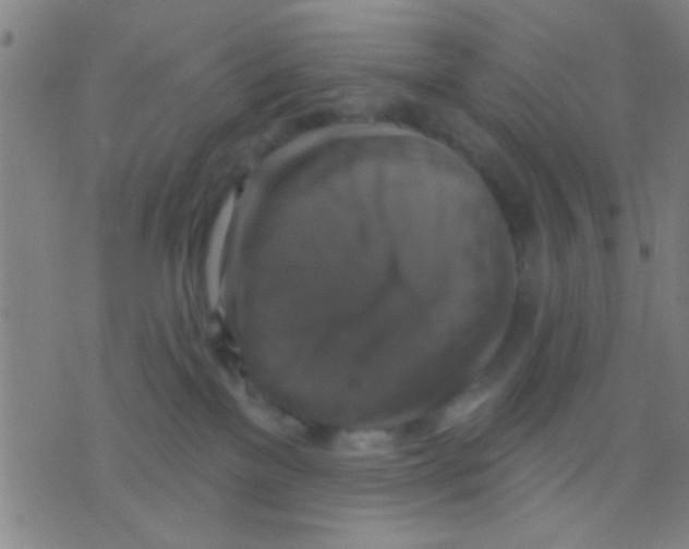 X0000075900137200610151825