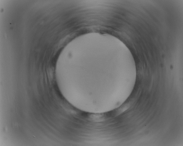 X0000075900139200610151825