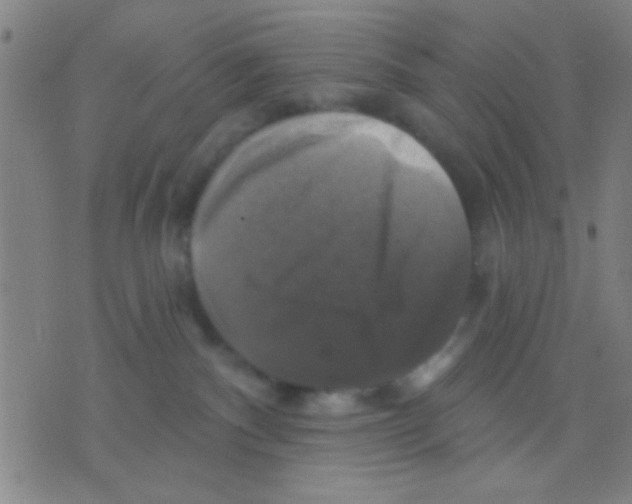 X0000075900140200610151825