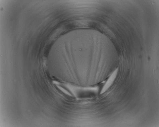 X0000075900141200610151825