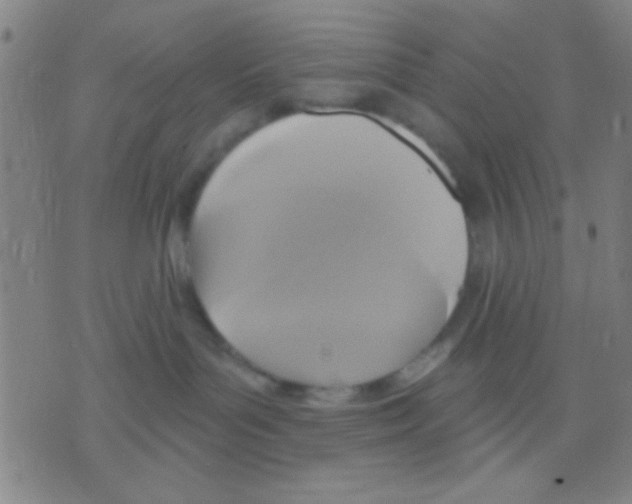 X0000075900143200610151825