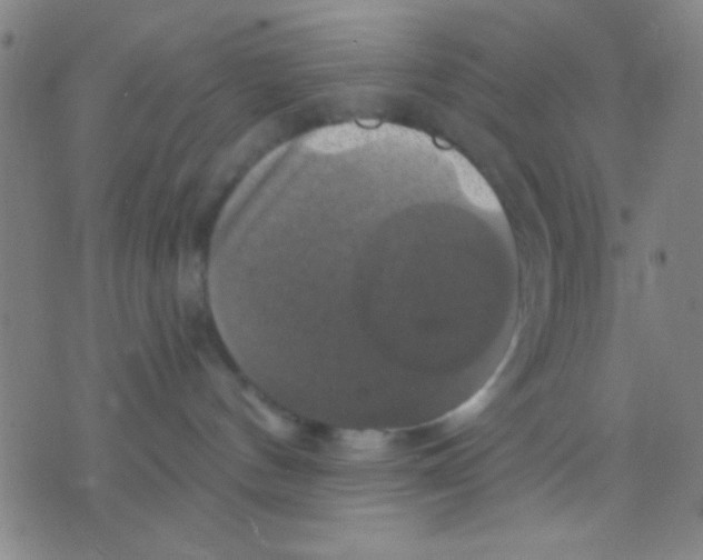 X0000075900144200610151825