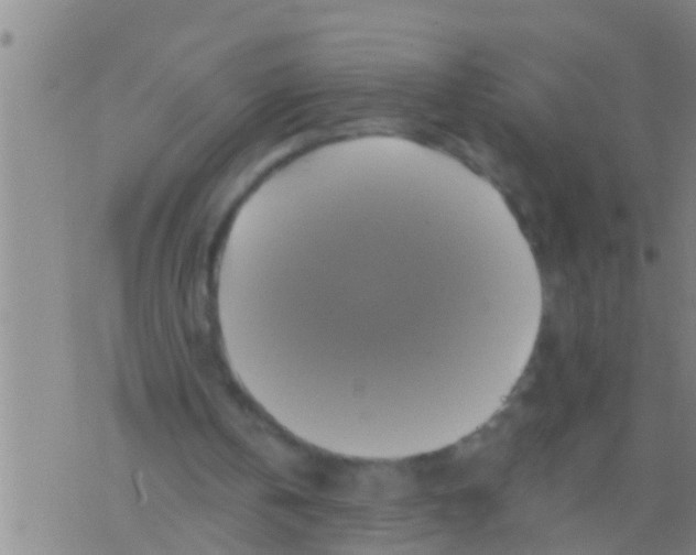 X0000075900146200610151825