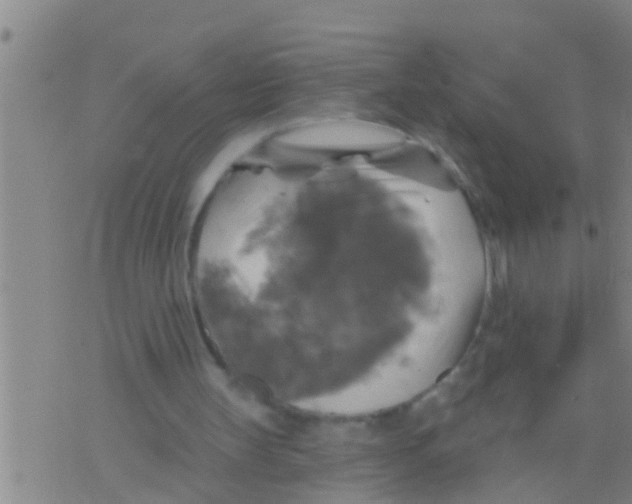 X0000075900147200610151825