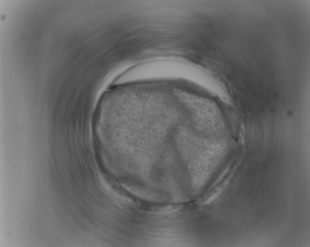 X0000075900148200610151825