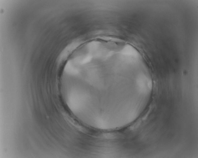 X0000075900149200610151825