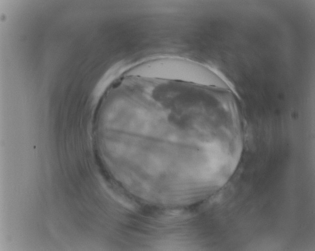 X0000075900151200610151825