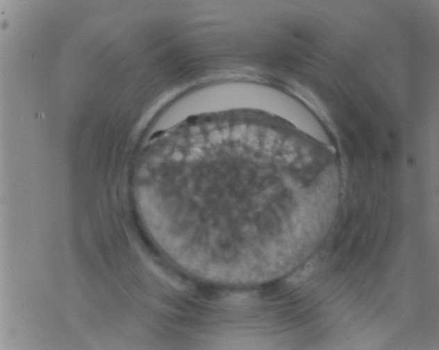 X0000075900155200610151825