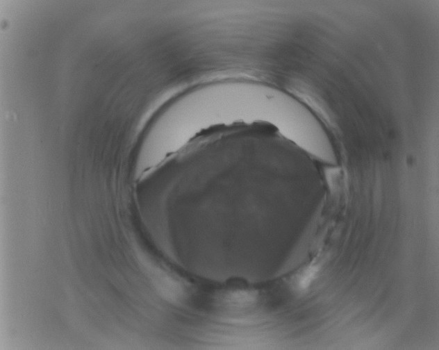 X0000075900156200610151825