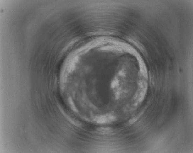 X0000075900157200610151825