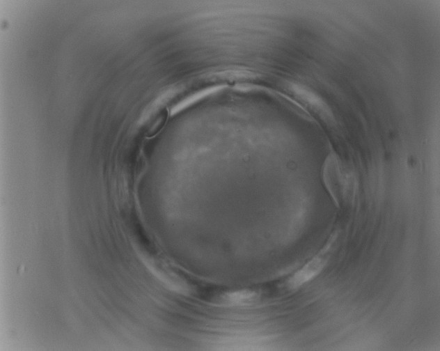 X0000075900158200610151825