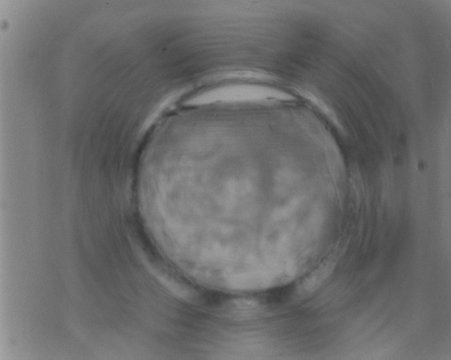 X0000075900159200610151825