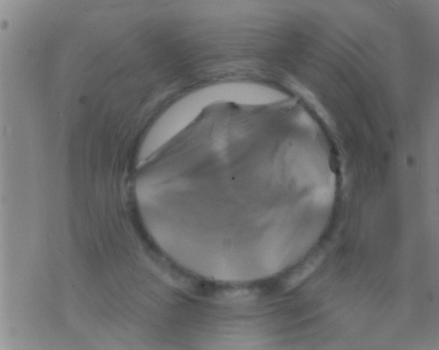 X0000075900161200610151825