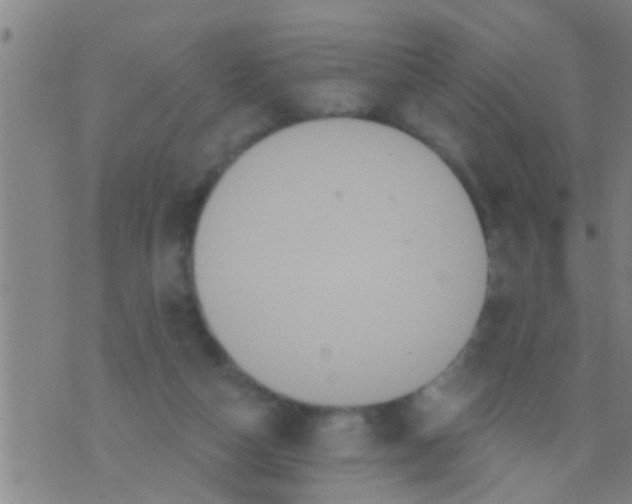 X0000075900162200610151825