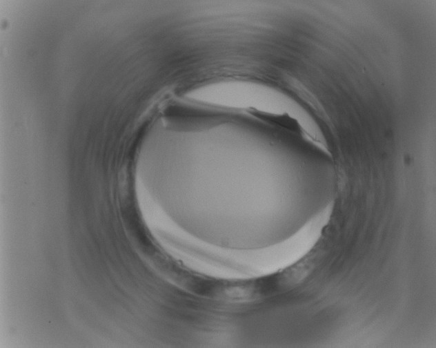 X0000075900163200610151825