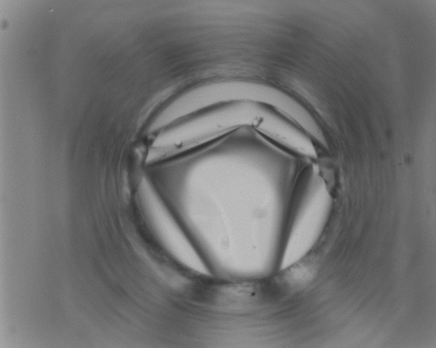 X0000075900164200610151825