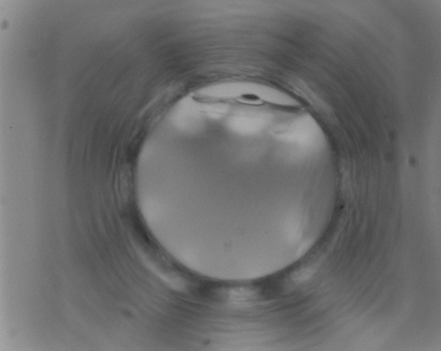 X0000075900165200610151825