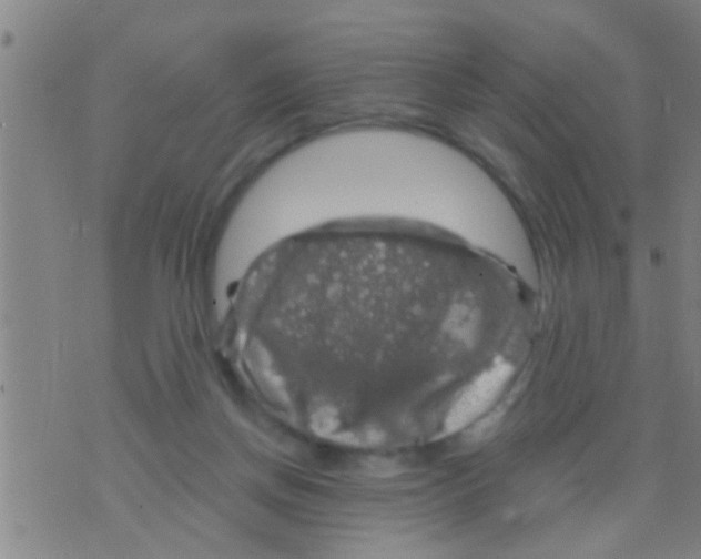 X0000075900166200610151825