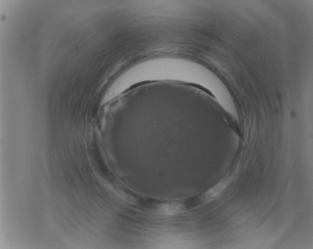 X0000075900168200610151825