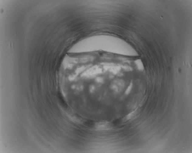 X0000075900175200610151825